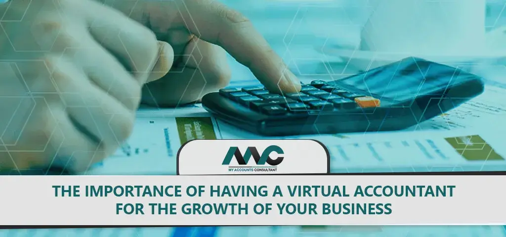 Virtual accountant