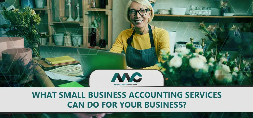 What Small Business Accounting Services Can Do For Your Business?
